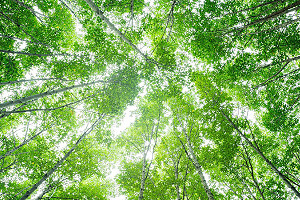 All about Sustainable Travel with our Travel Expert Sasha