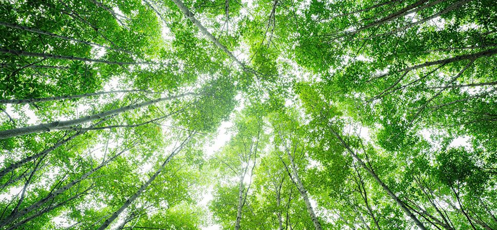 All about Sustainable Travel with our Travel Expert Sasha