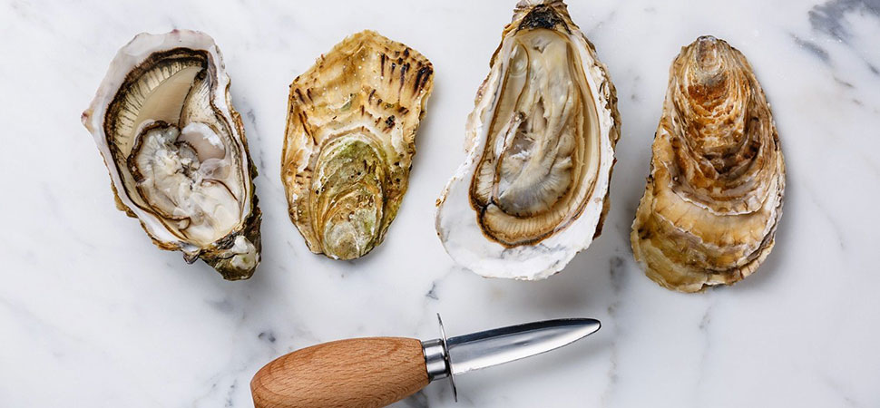 5 Ways an Experienced Concierge can Transform your Life